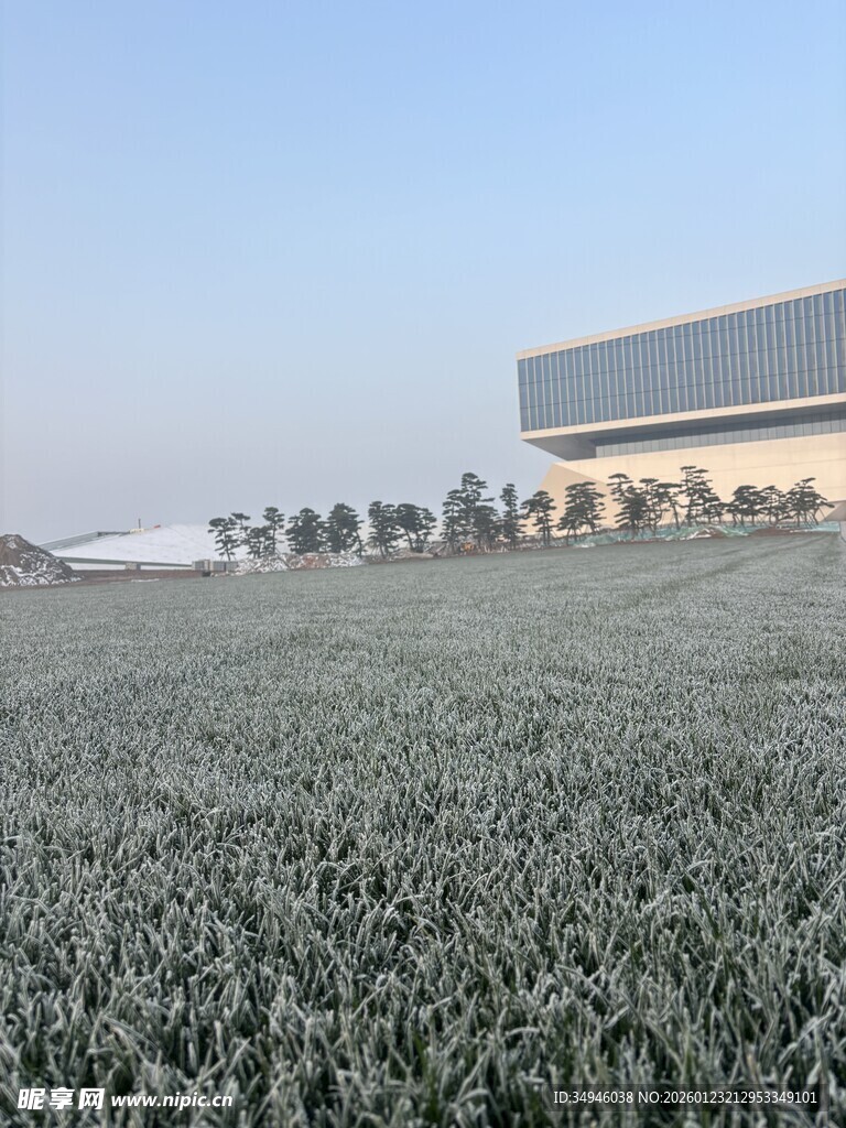 麦田旁的现代建筑景观