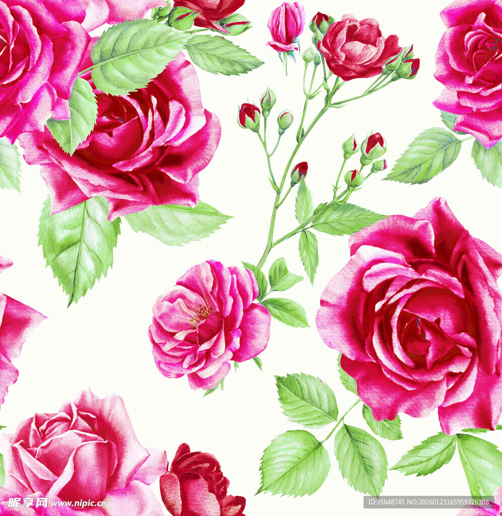 粉色玫瑰花卉图案背景