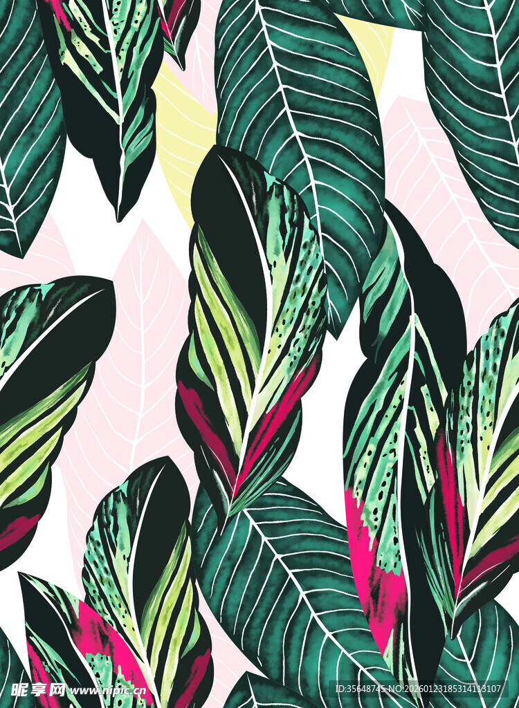 热带植物叶片花卉图案