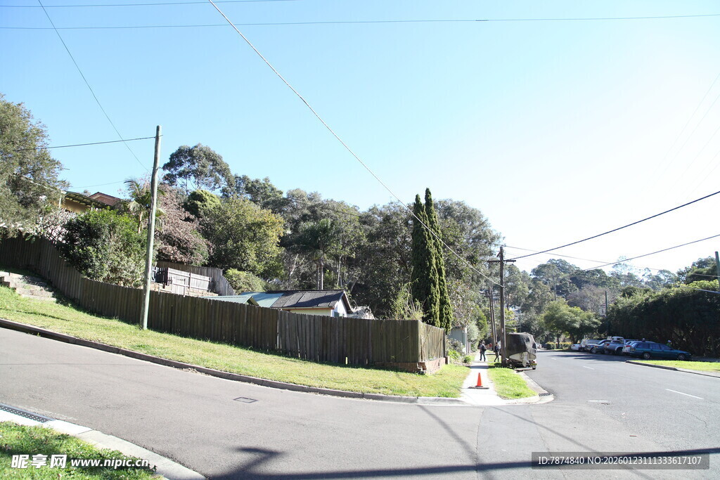 蜿蜒街道旁的绿植景观