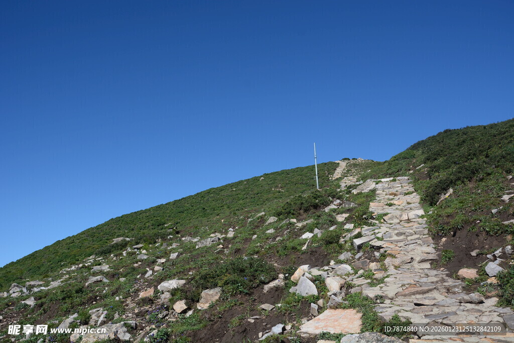 山间石径 绿意盎然