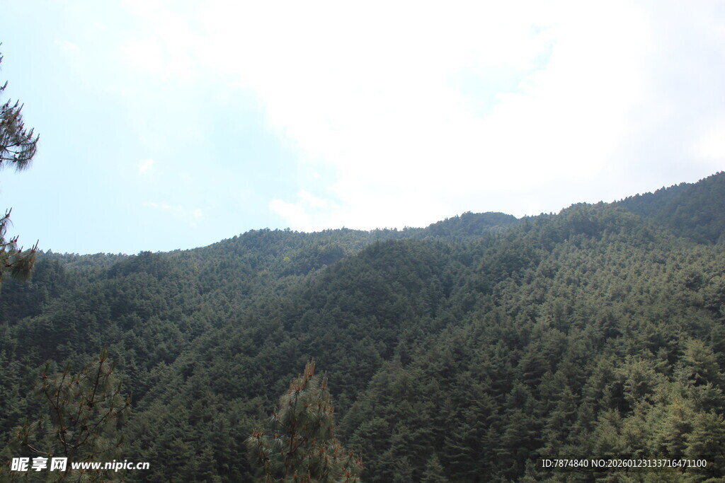 翠绿山峦 尽显自然之美