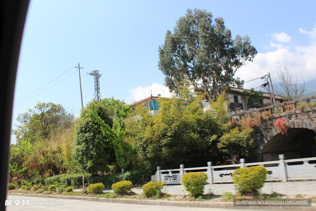 车窗外的绿意风景