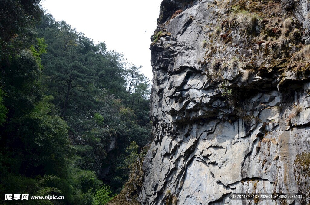 陡峭岩壁旁的葱郁山林