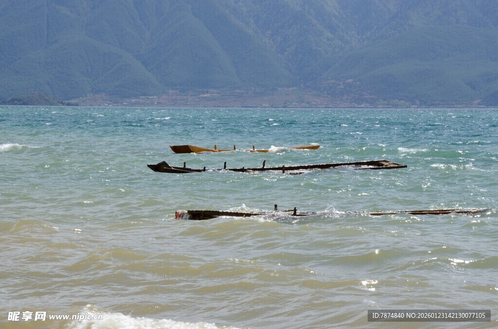 海边漂浮的原木景象