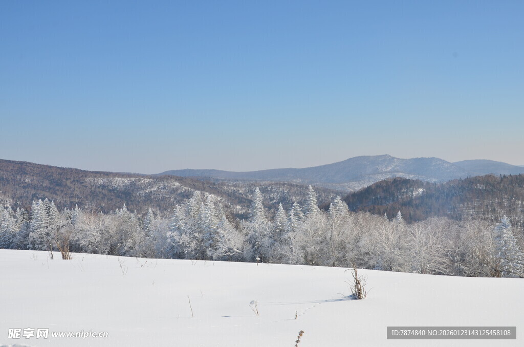 冬日雪覆山林美景