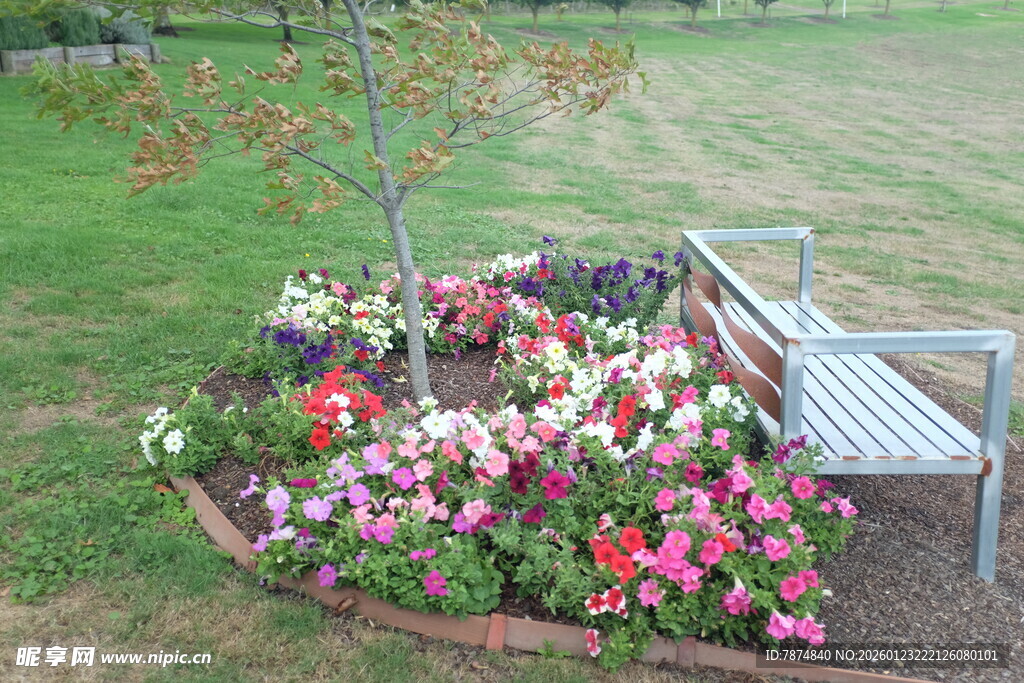 花园中的长椅与缤纷花卉
