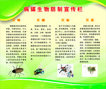 病媒生物防制宣传栏