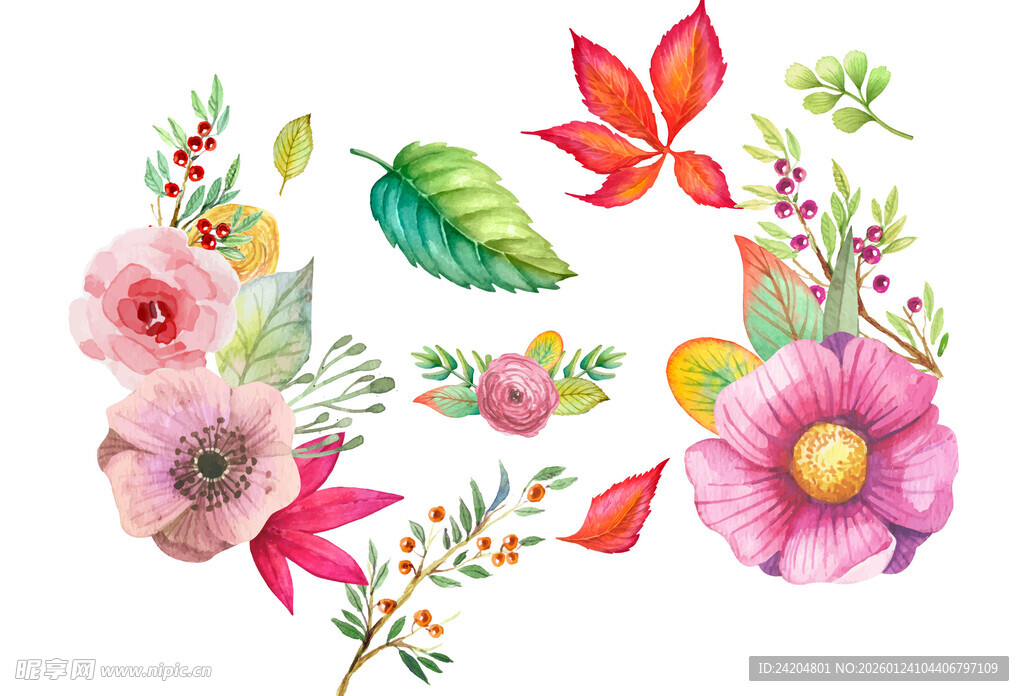 水彩花卉叶子插画素材