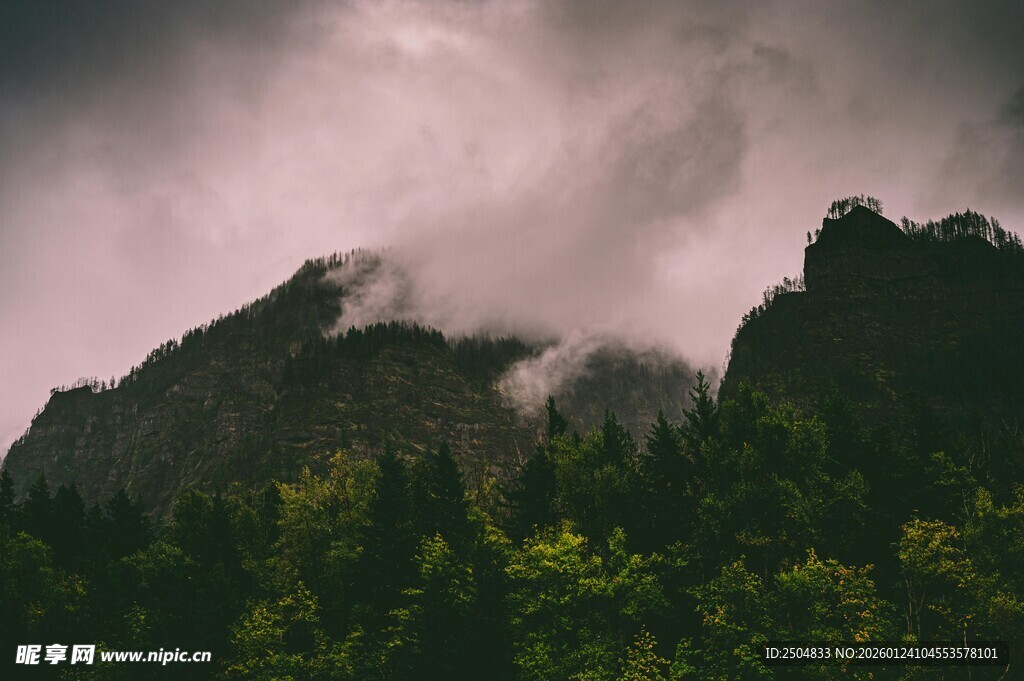 云雾缭绕的山林美景