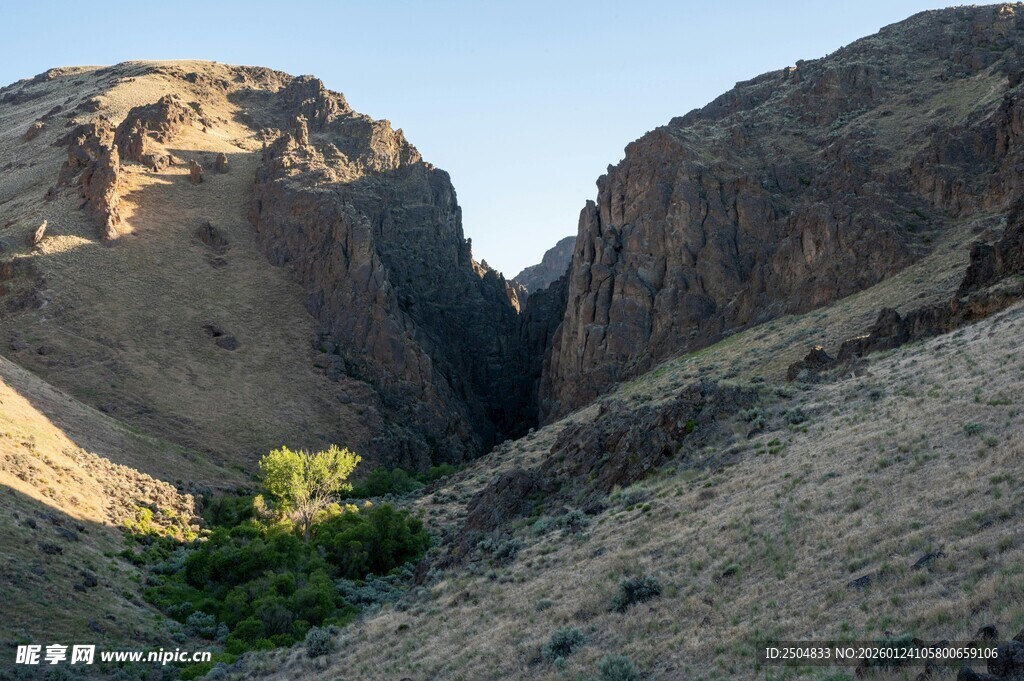 峡谷风光 山间一抹绿意