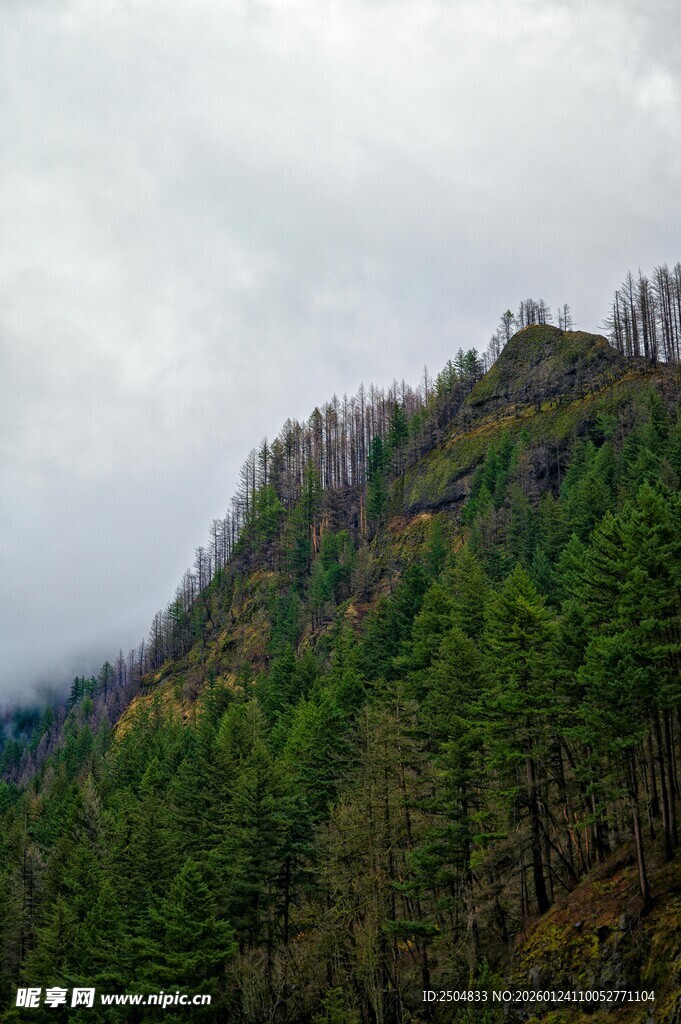 云雾缭绕的葱郁山峦