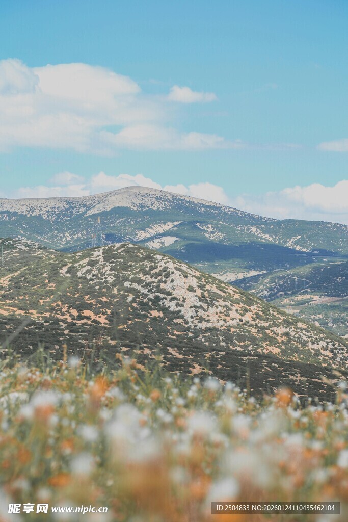 山间花草与壮丽远景