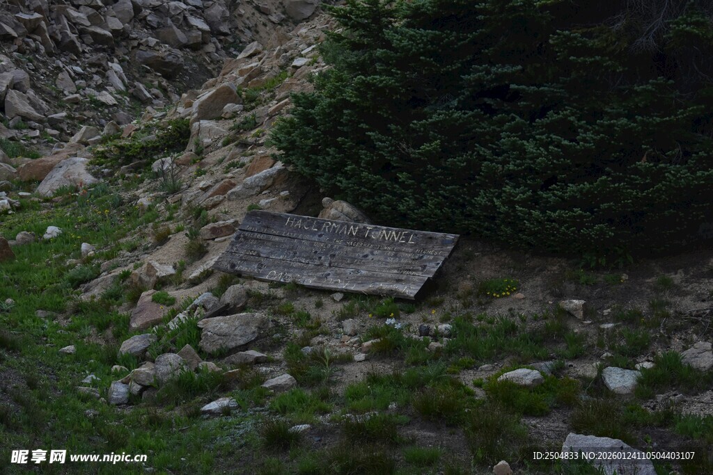 户外古朴石板与绿植景观