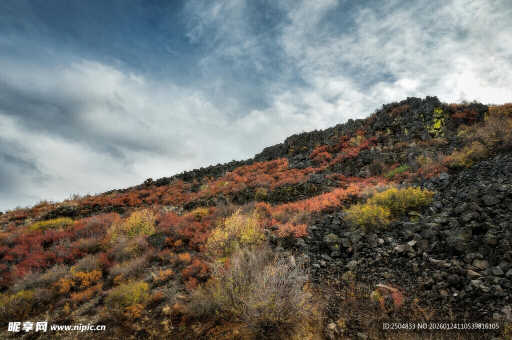 秋日山坡多彩景致