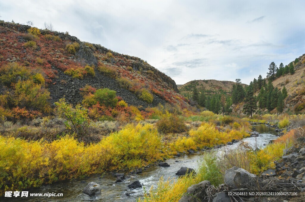 秋日山间溪流美景