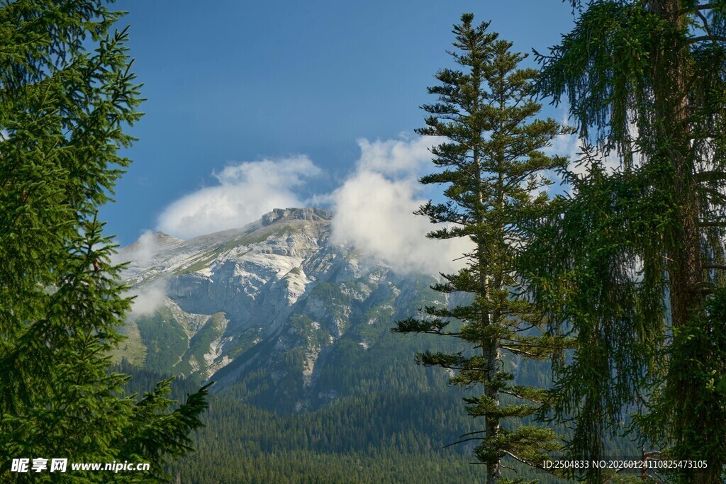 山林间的巍峨雪山