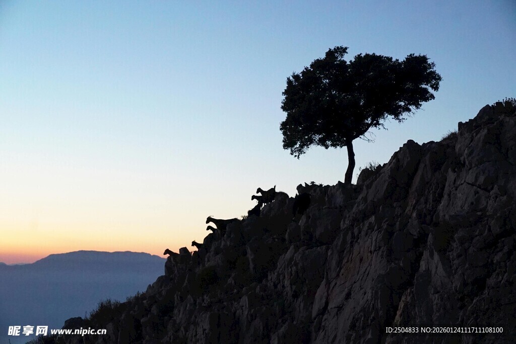 山顶孤树迎绝美黄昏