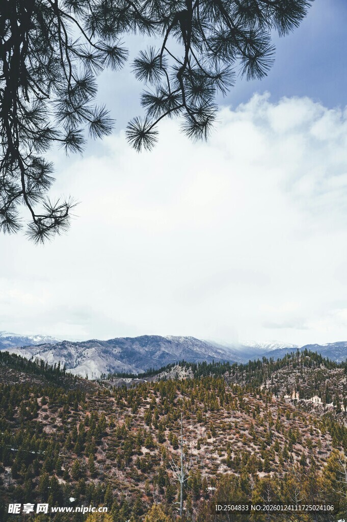 山间美景 树影下的城镇风光