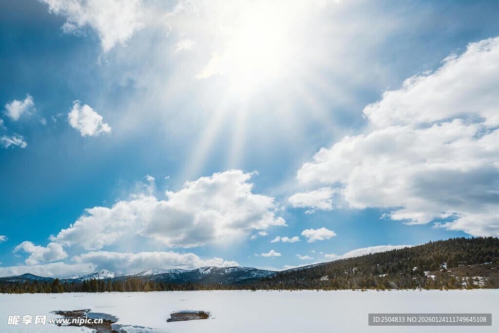 冬日雪野阳光灿烂风景