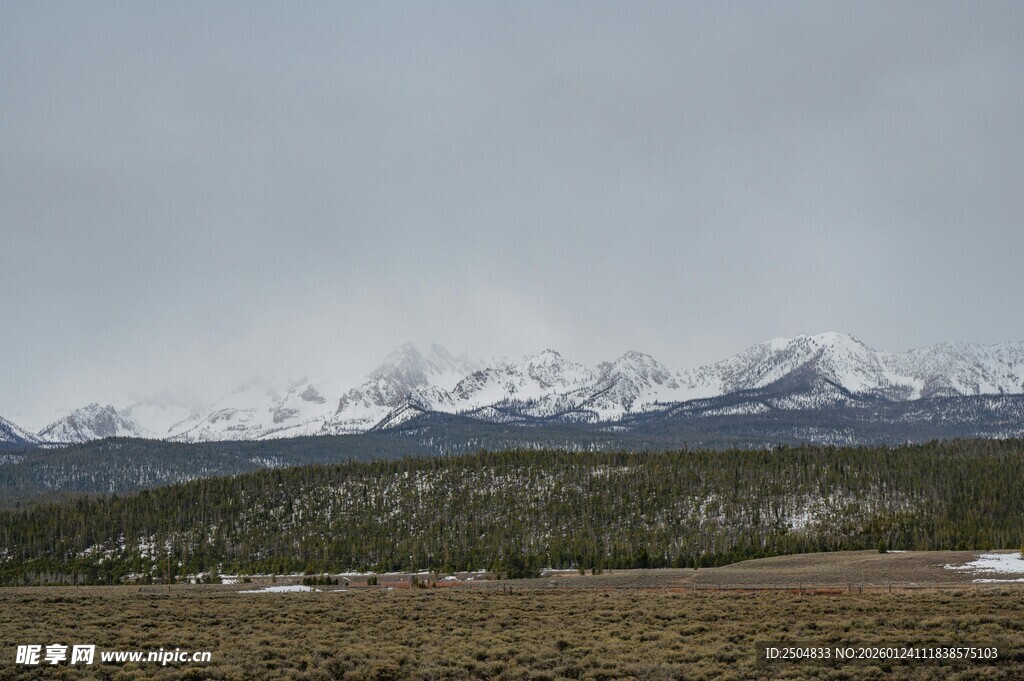 雪山下的广袤原野