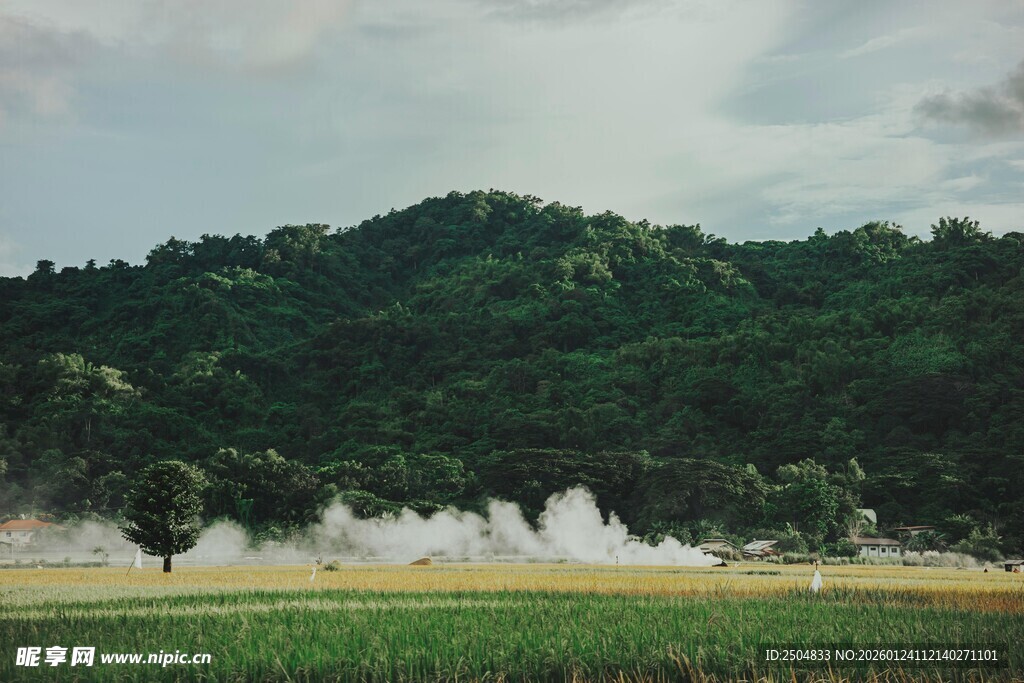 田野山林间的朦胧雾气