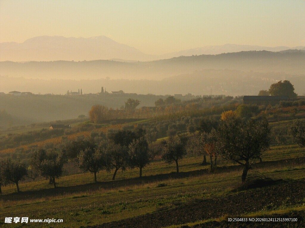 晨雾中的田园风光