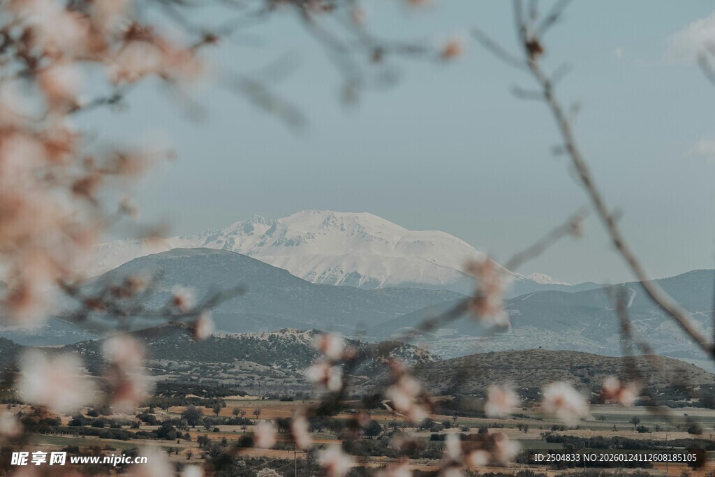 春日繁花映远山