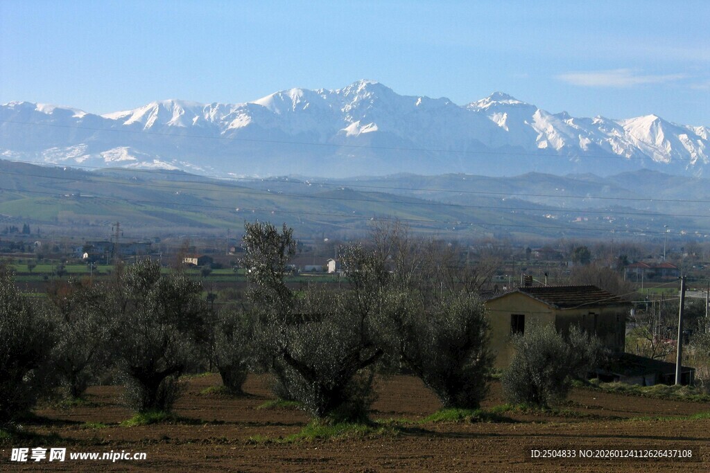 远山近树的田园风光