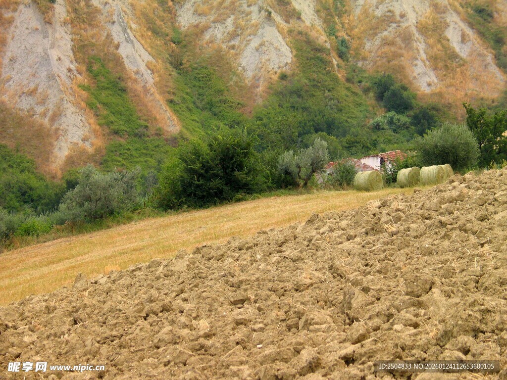 田园风光中的农耕地