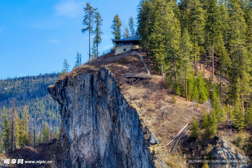 悬崖边的森林美景