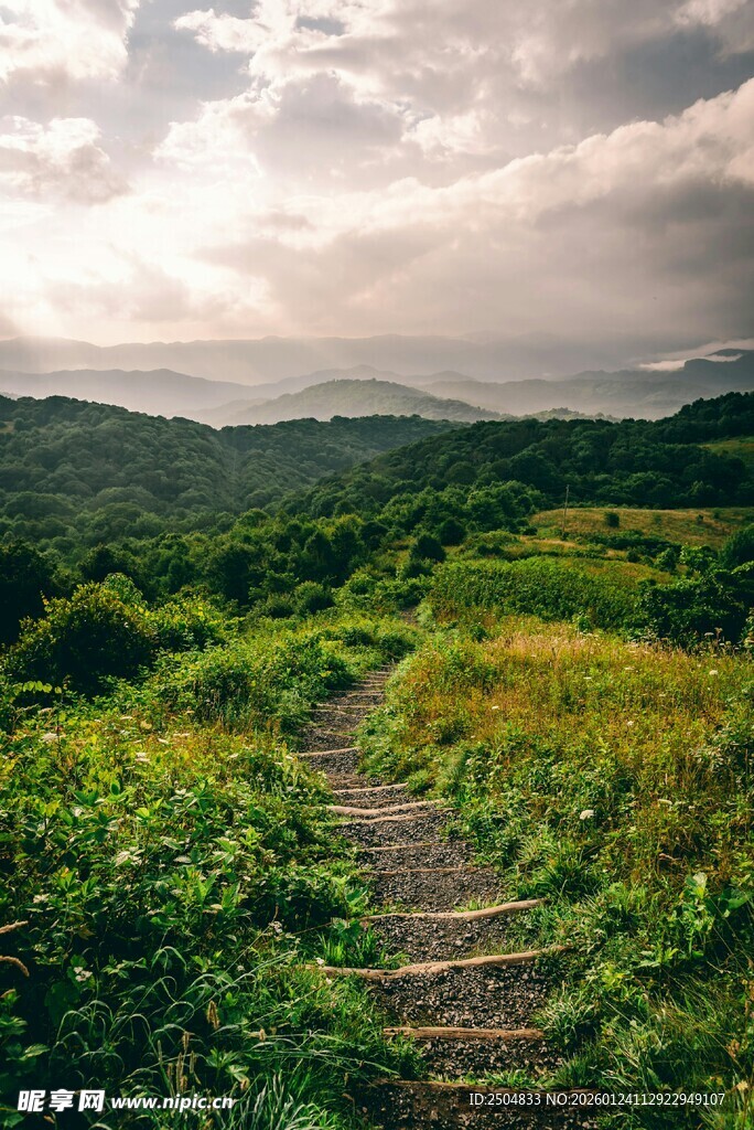 山间小径 绿野繁花之景