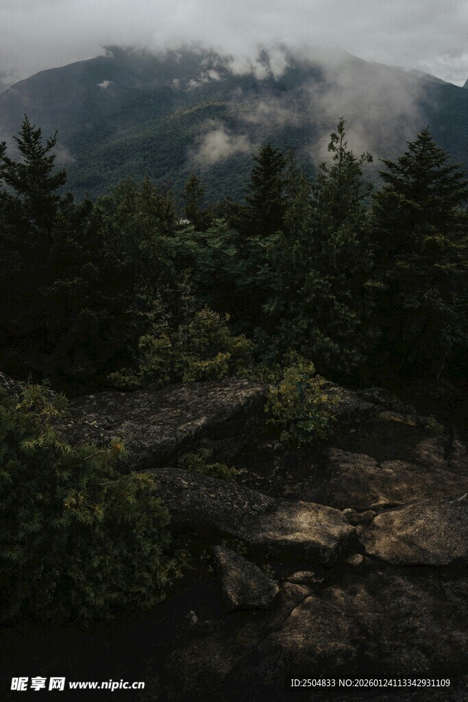 云雾缭绕的山林美景
