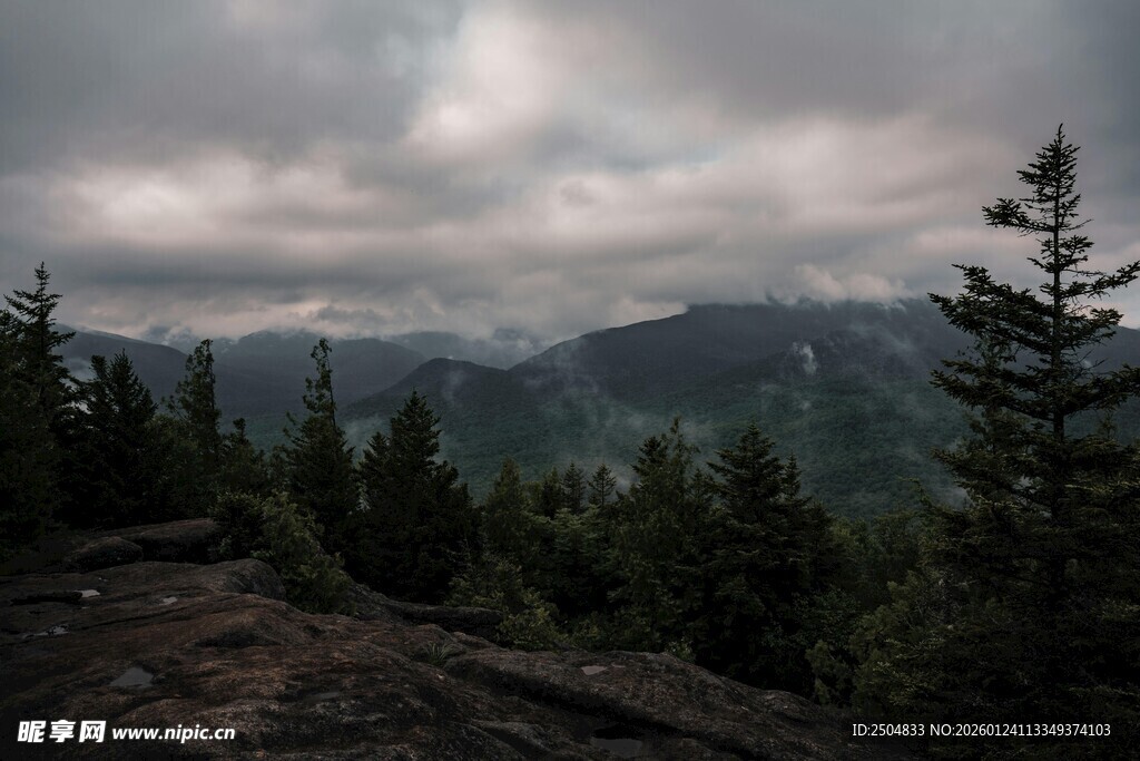 云雾缭绕的山林景致