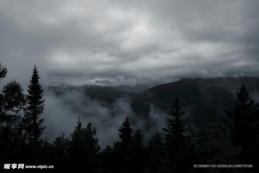 云雾缭绕的山林景观