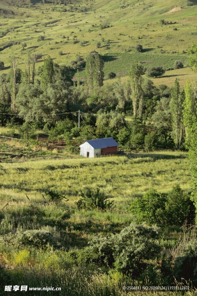 田园中的静谧小屋