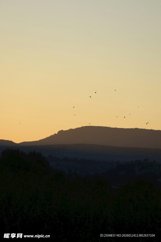 黄昏山峦间飞鸟景致