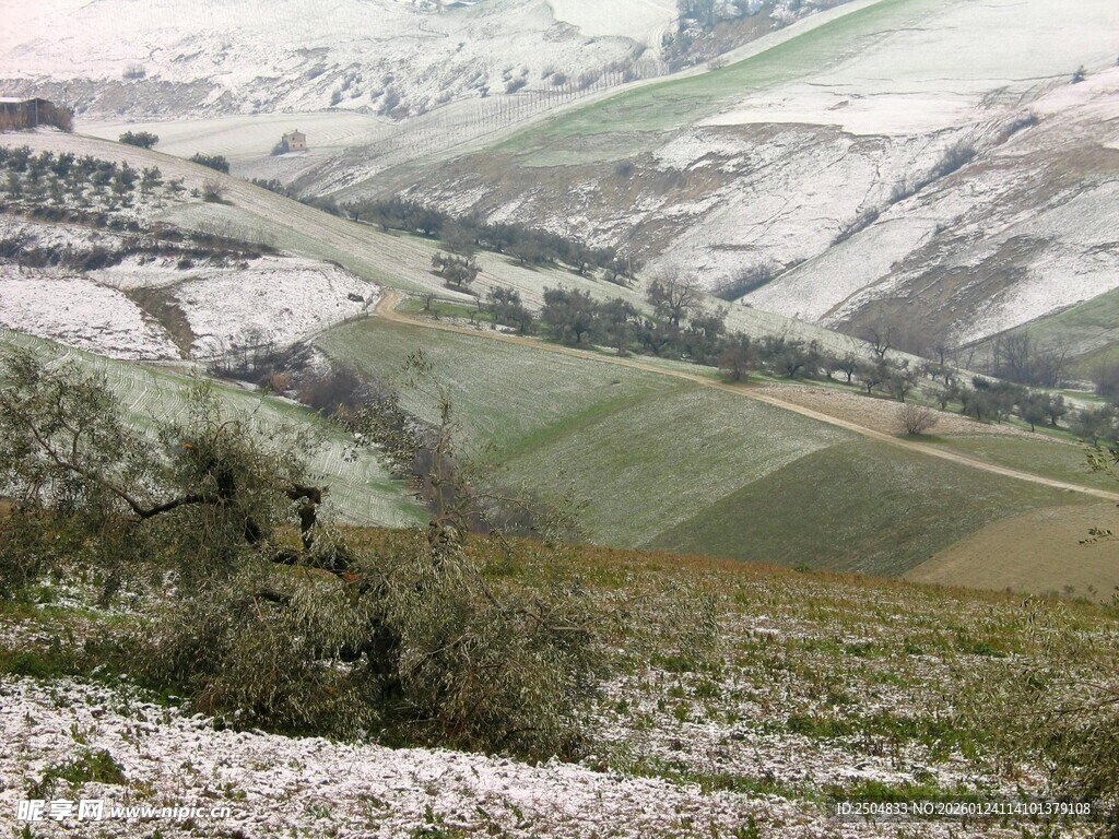 雪覆田野的美丽田园风光