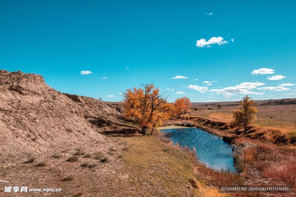 秋日旷野中的河流与树木