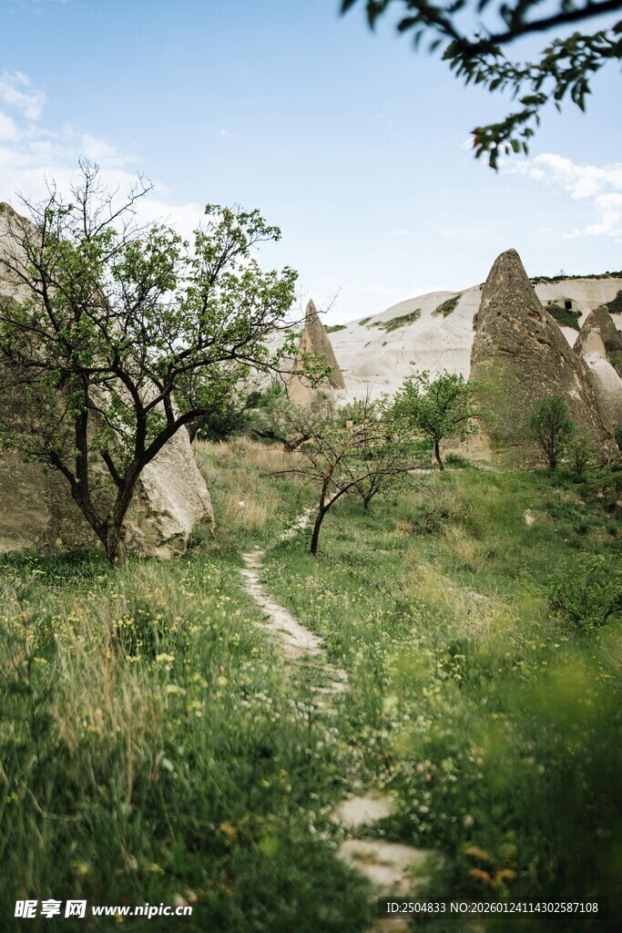 山间小径 自然野趣风景