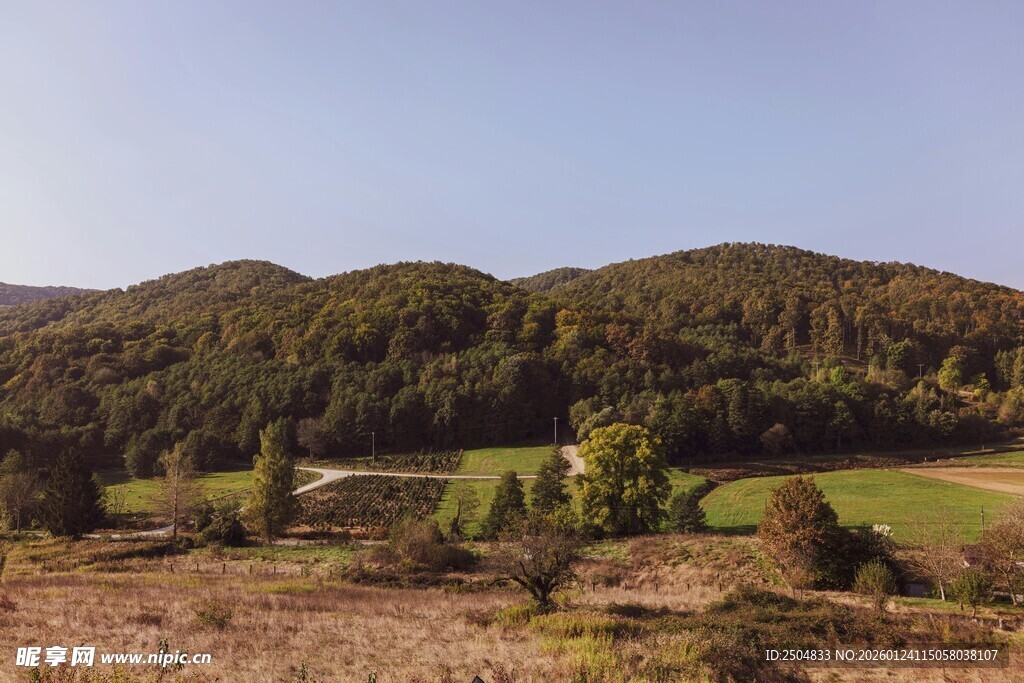 山间绿野风光