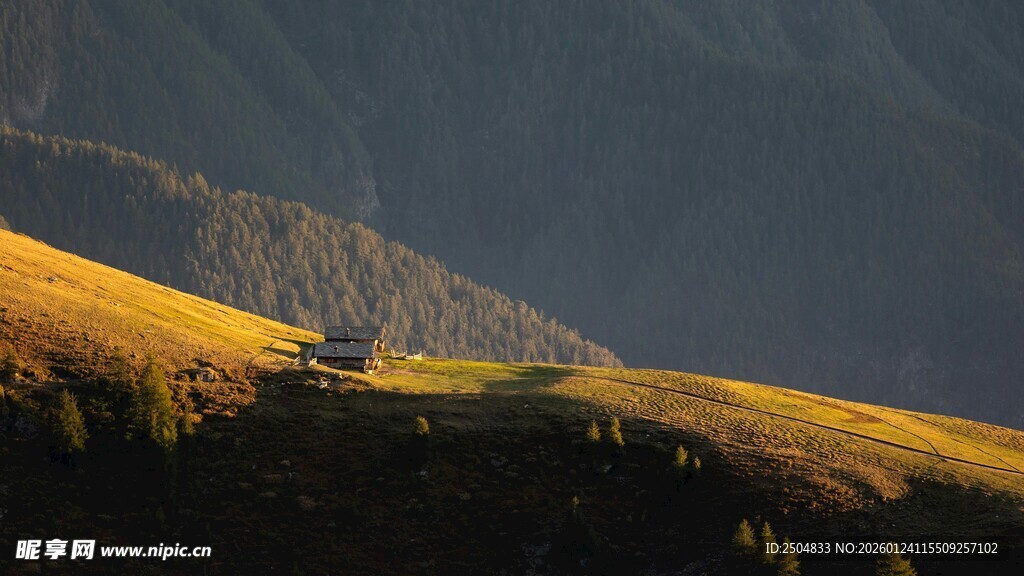 山间金色美景