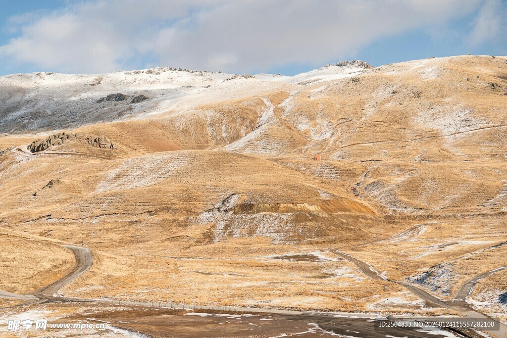 金黄山地雪景风光
