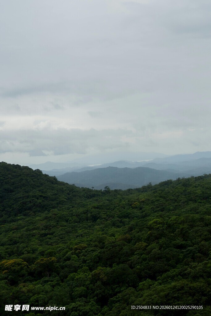 山峦绿意间的朦胧天际