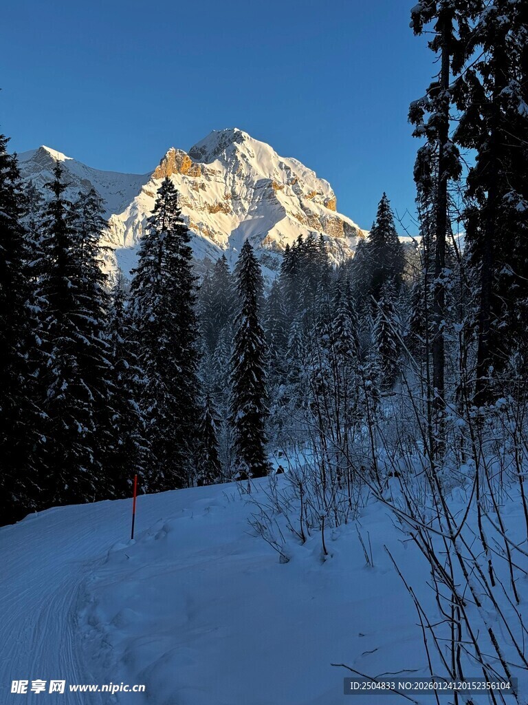 雪山林间雪景壮丽风光