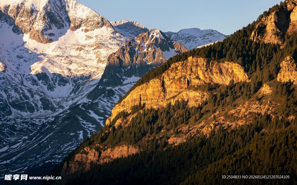 壮丽雪山下的葱郁山林