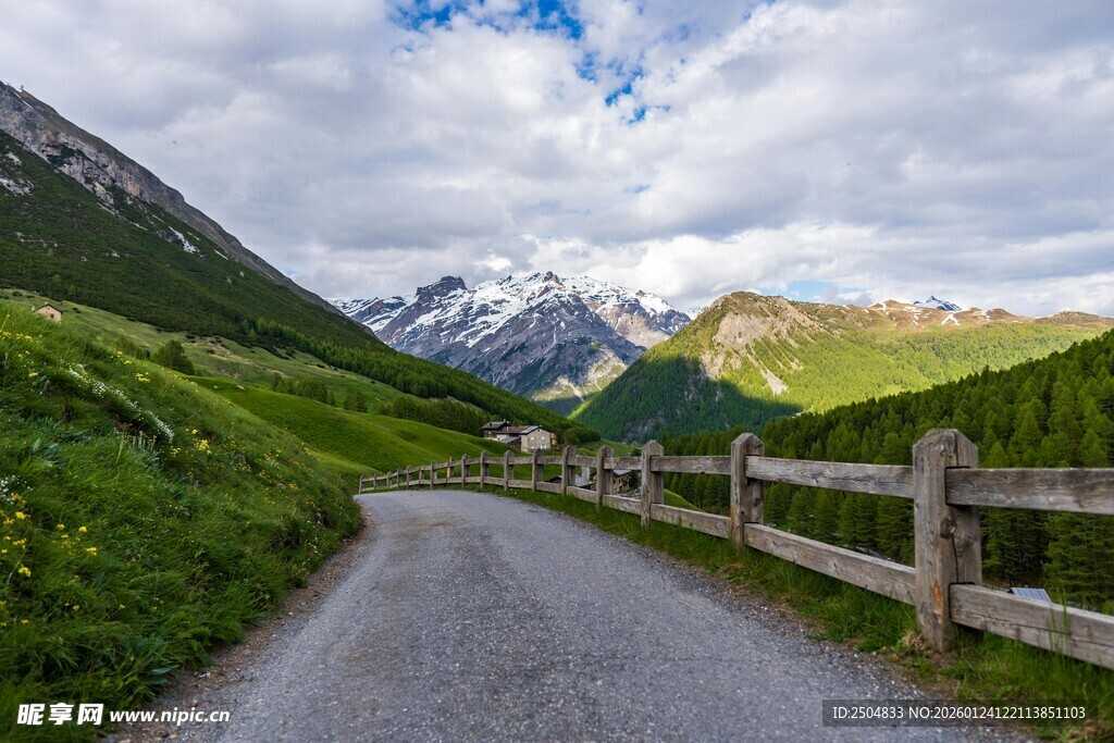 山间小路旁的秀丽自然风光
