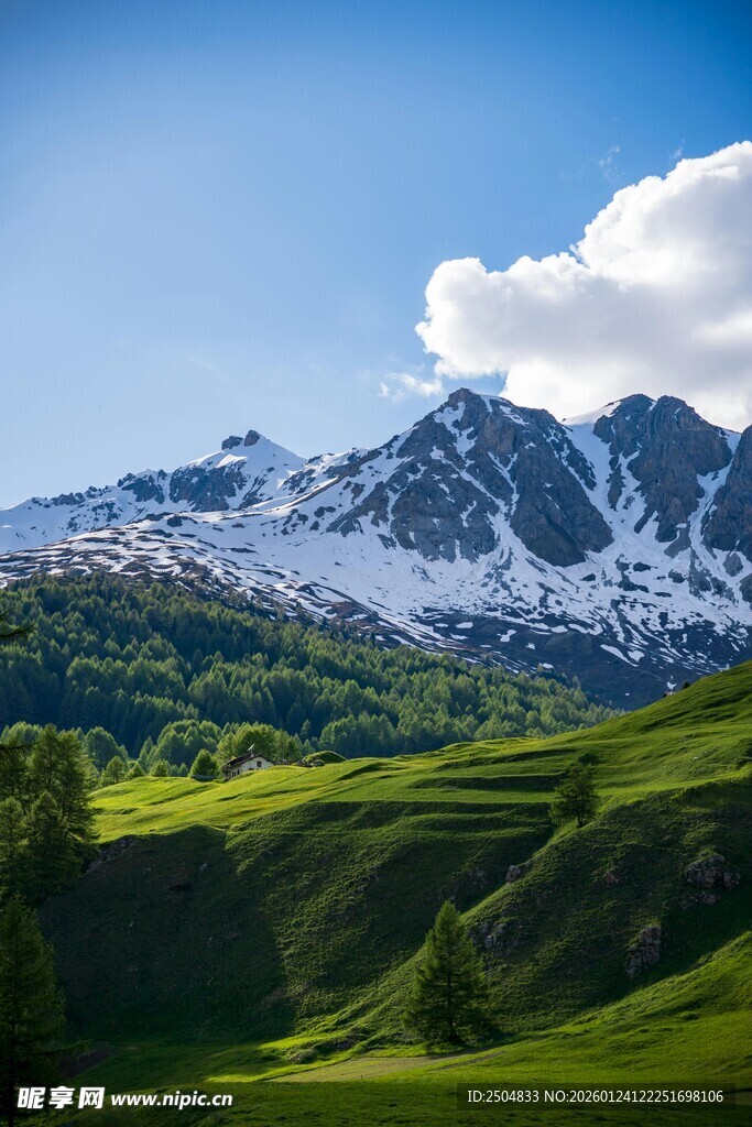 雪山下的翠绿山坡美景