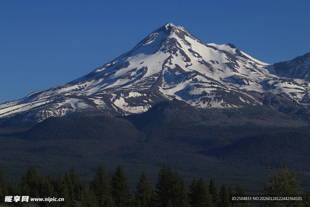 巍峨雪山与葱郁森林景观