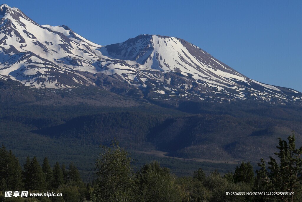 巍峨雪山与葱郁森林景观
